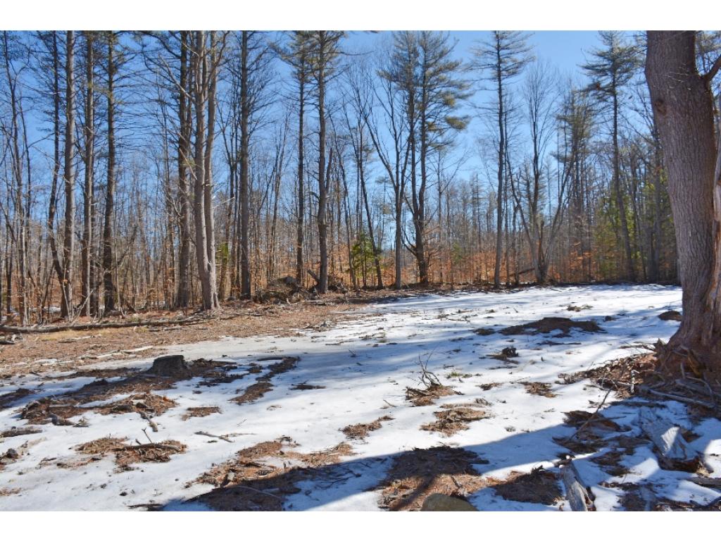 0 Olde Farmington Road Center Barnstead, NH 03225 - Photo 8 of 16