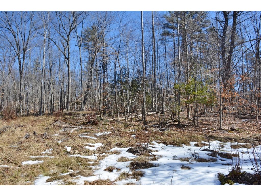 0 Olde Farmington Road Center Barnstead, NH 03225 - Photo 10 of 16