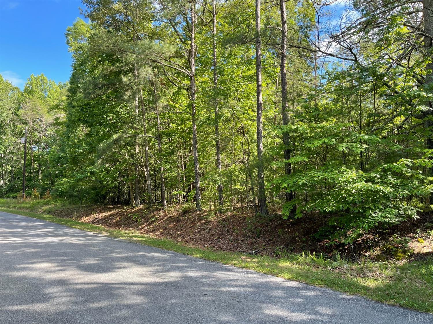 2433 West Perch Road Monroe, VA 24574 - Photo 1 of 2 a view of a yard with a tree