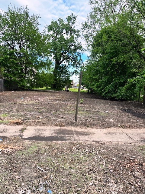 a view of a yard with trees