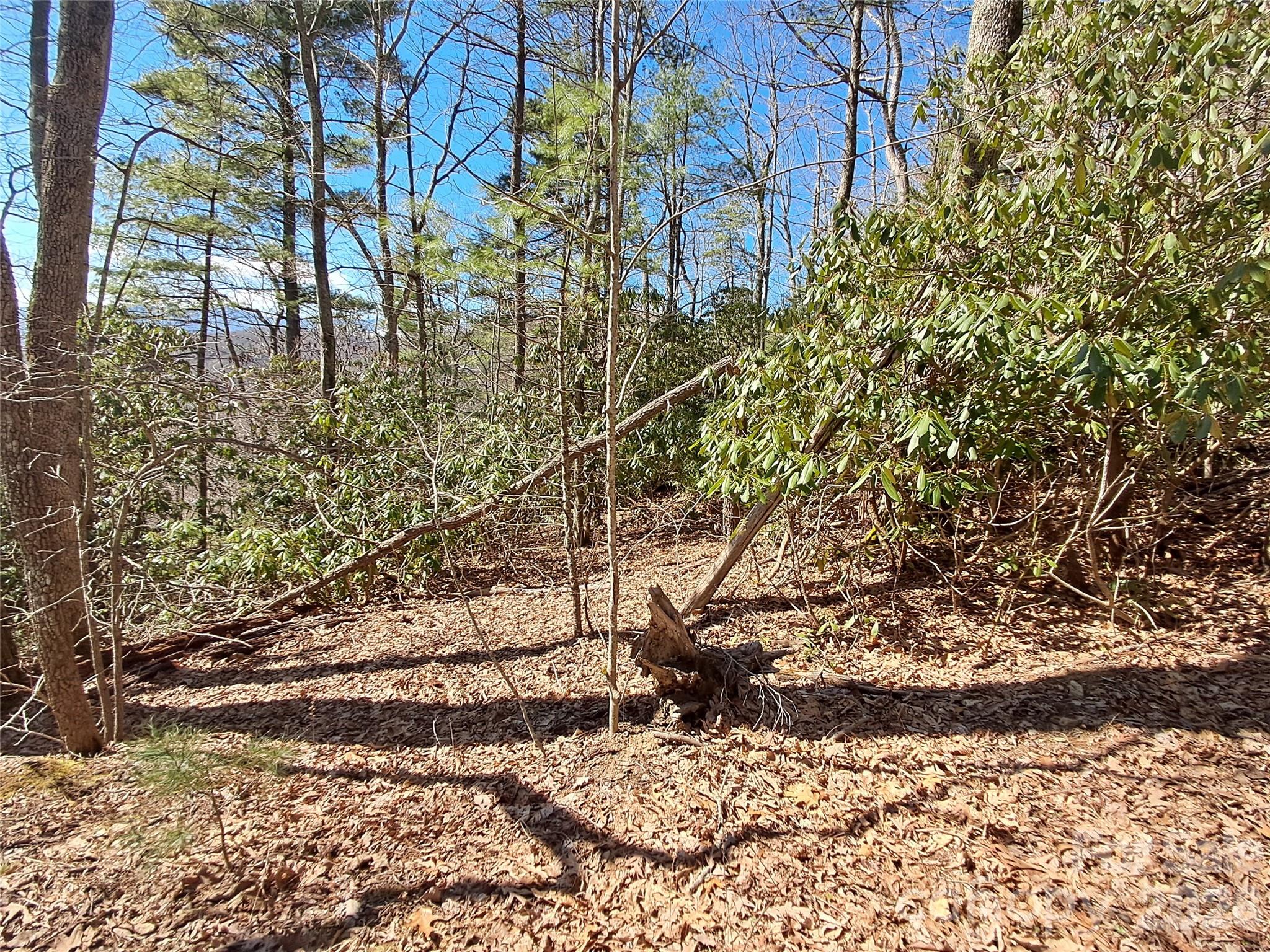 9999 Hurricane Rdg Trace Clyde, NC 28721 - Photo 6 of 9