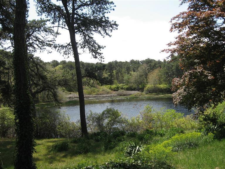 29 Ryder Pond S Road Chatham, MA 02633 - Photo 5 of 27 Additional Photo