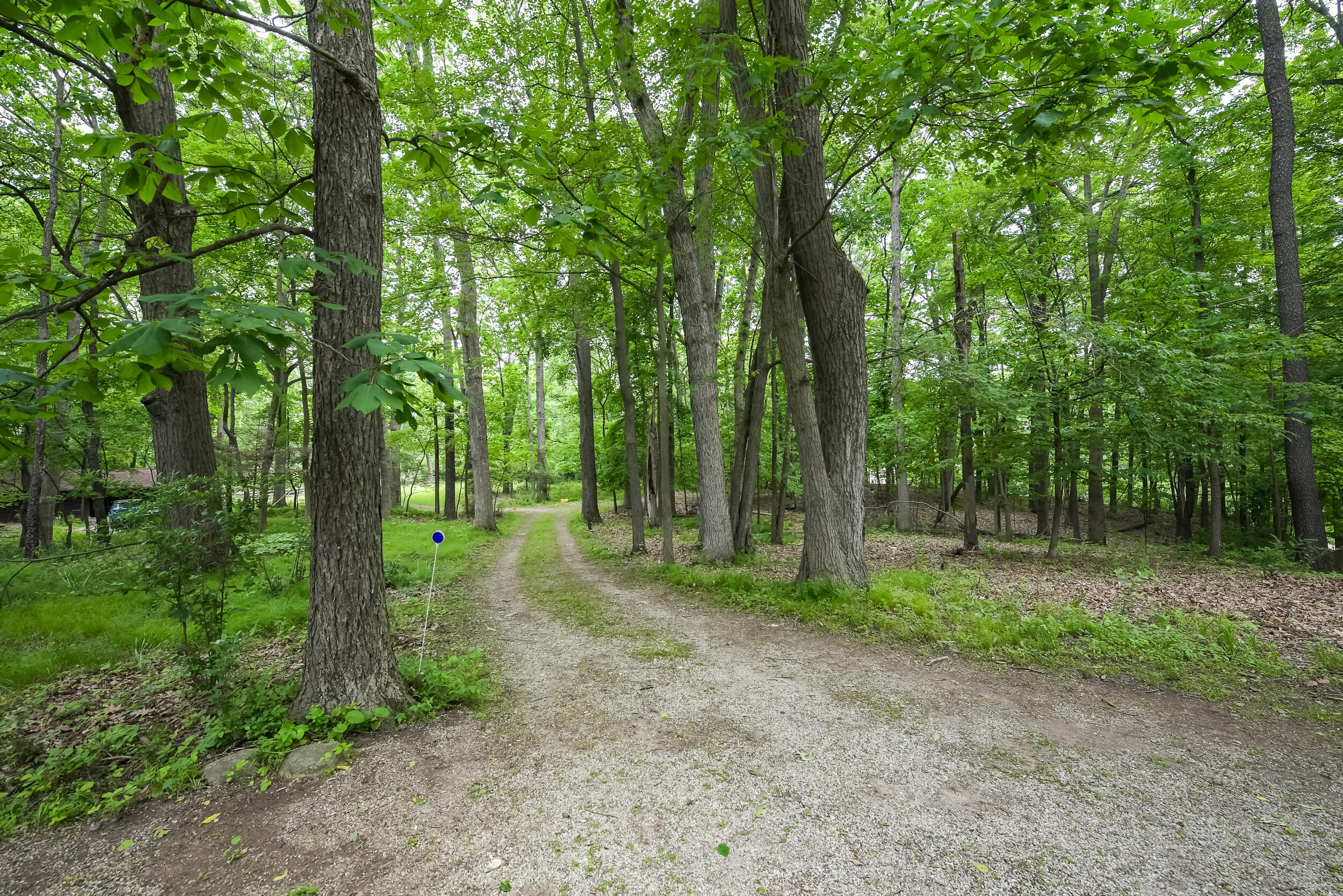 4075 North Delhi Road Ann Arbor, MI 48103 - Photo 39 of 50 Delhi Drive