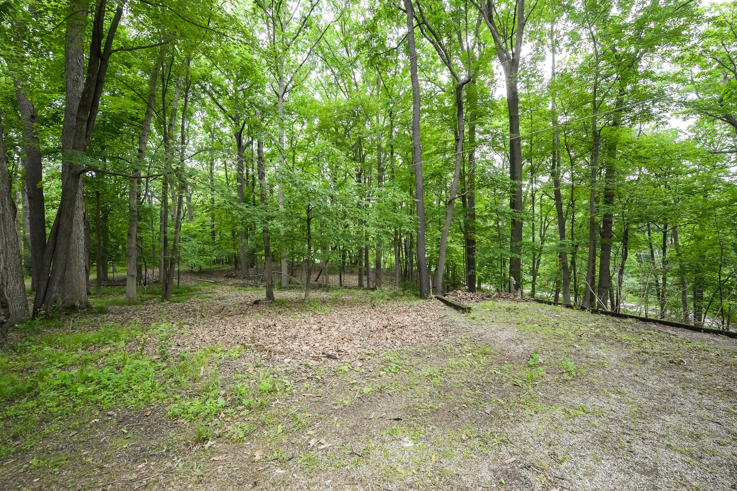 4075 North Delhi Road Ann Arbor, MI 48103 - Photo 41 of 50 delhi exterior woods