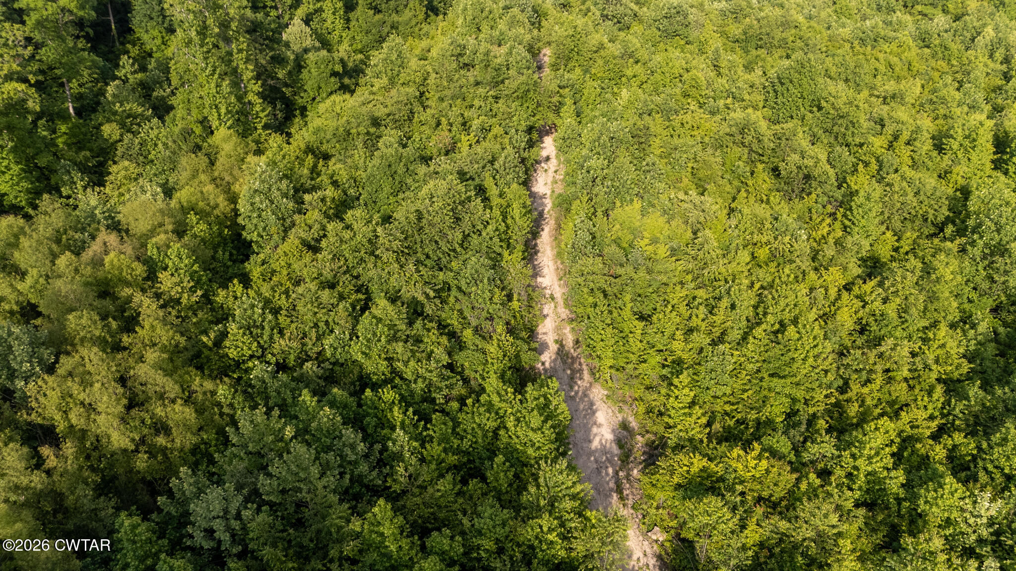 382 Mcadams Road Greenfield, TN 38230 - Photo 21 of 26 McAdamsDrone-6_(2048)