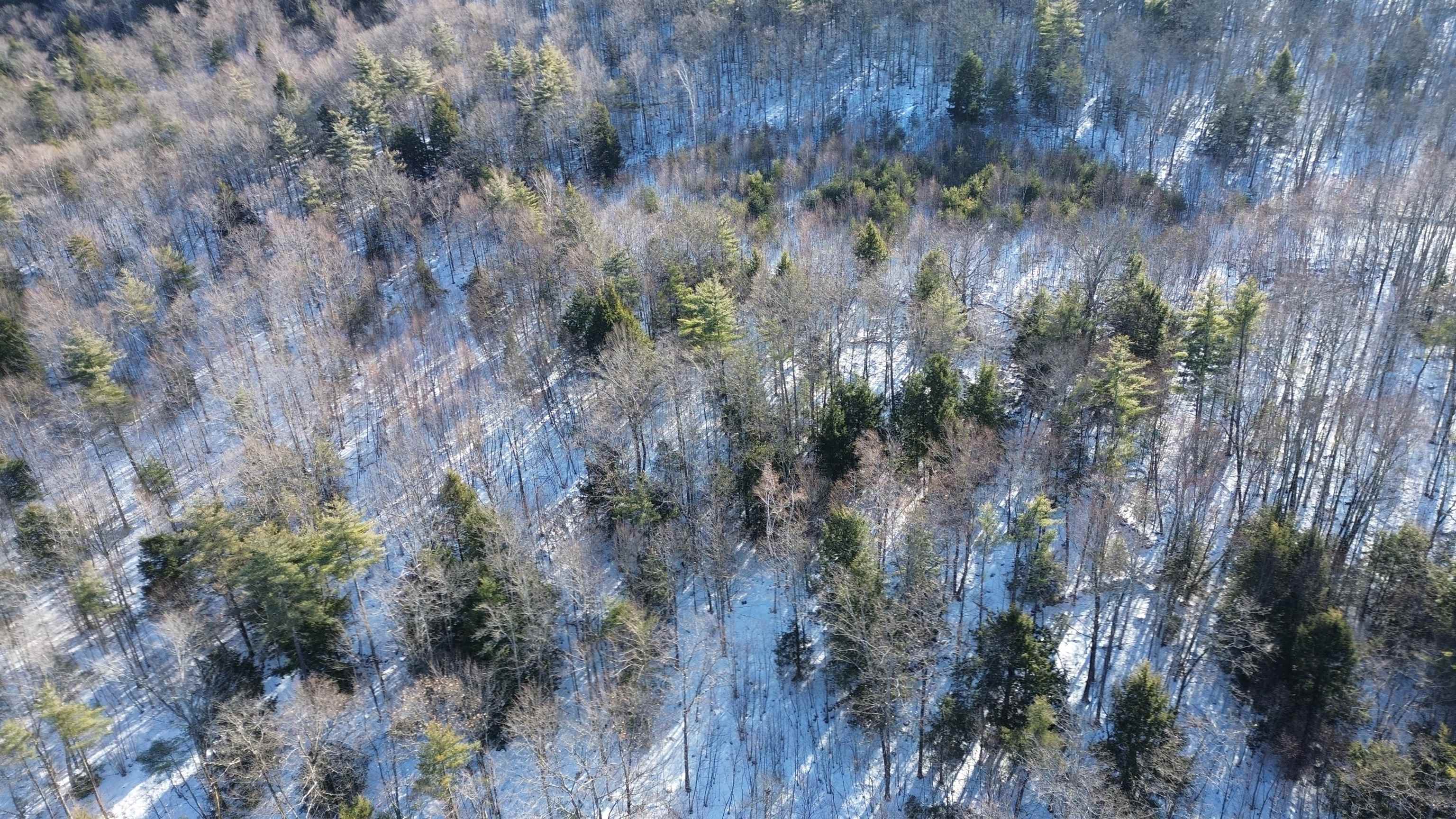Tbd Old Bristol Road New Hampton, NH 03256 - Photo 3 of 24