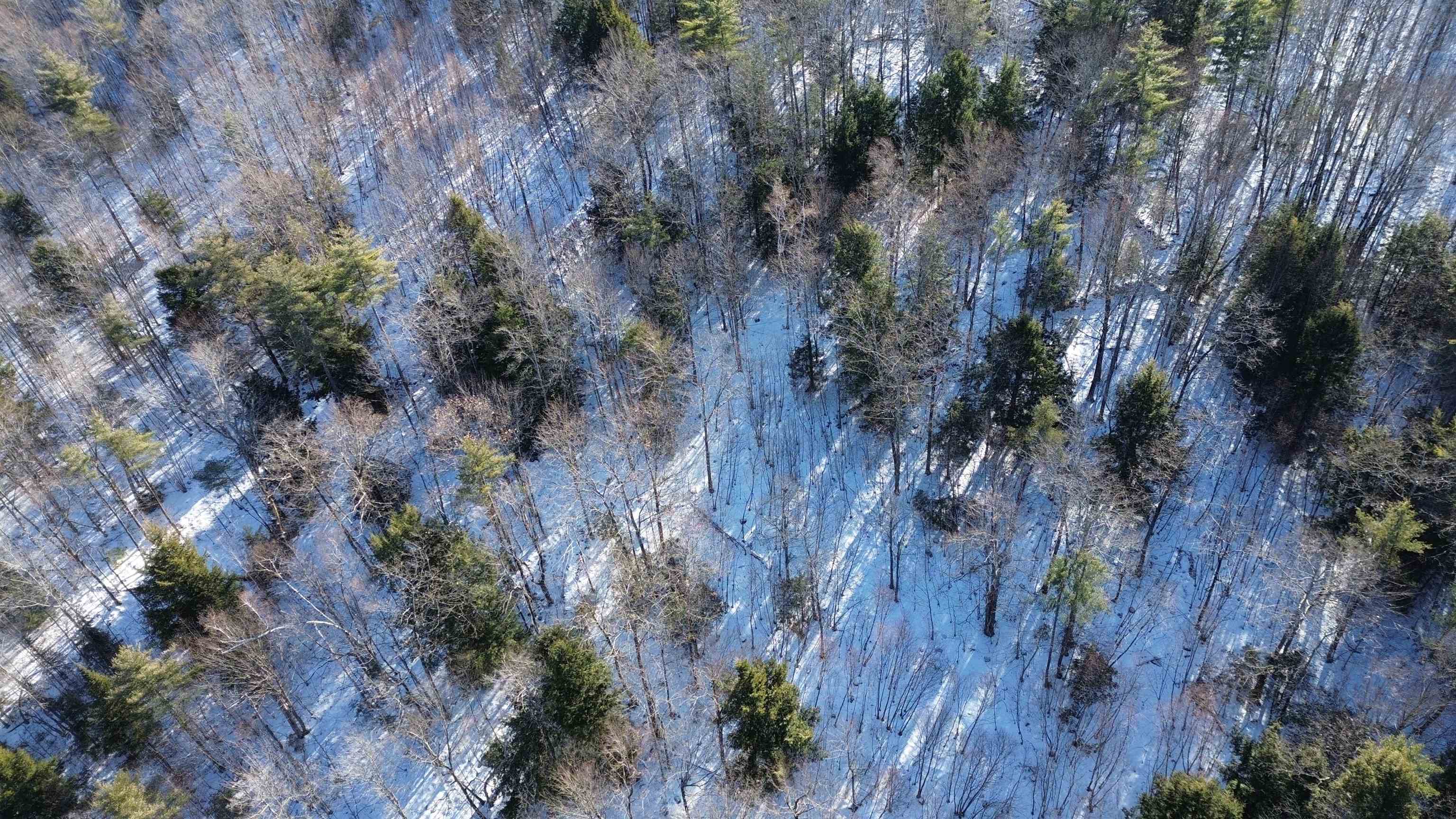 Tbd Old Bristol Road New Hampton, NH 03256 - Photo 6 of 24