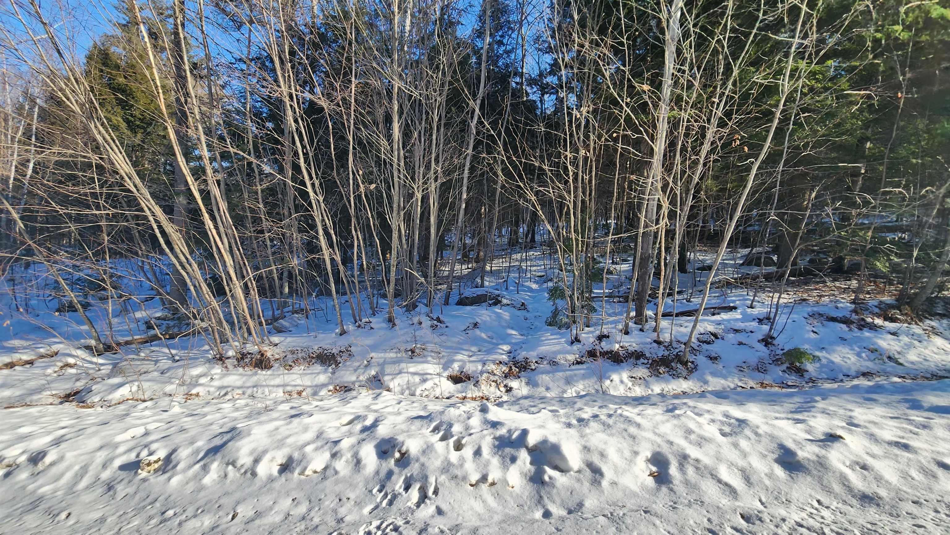 Tbd Old Bristol Road New Hampton, NH 03256 - Photo 7 of 24