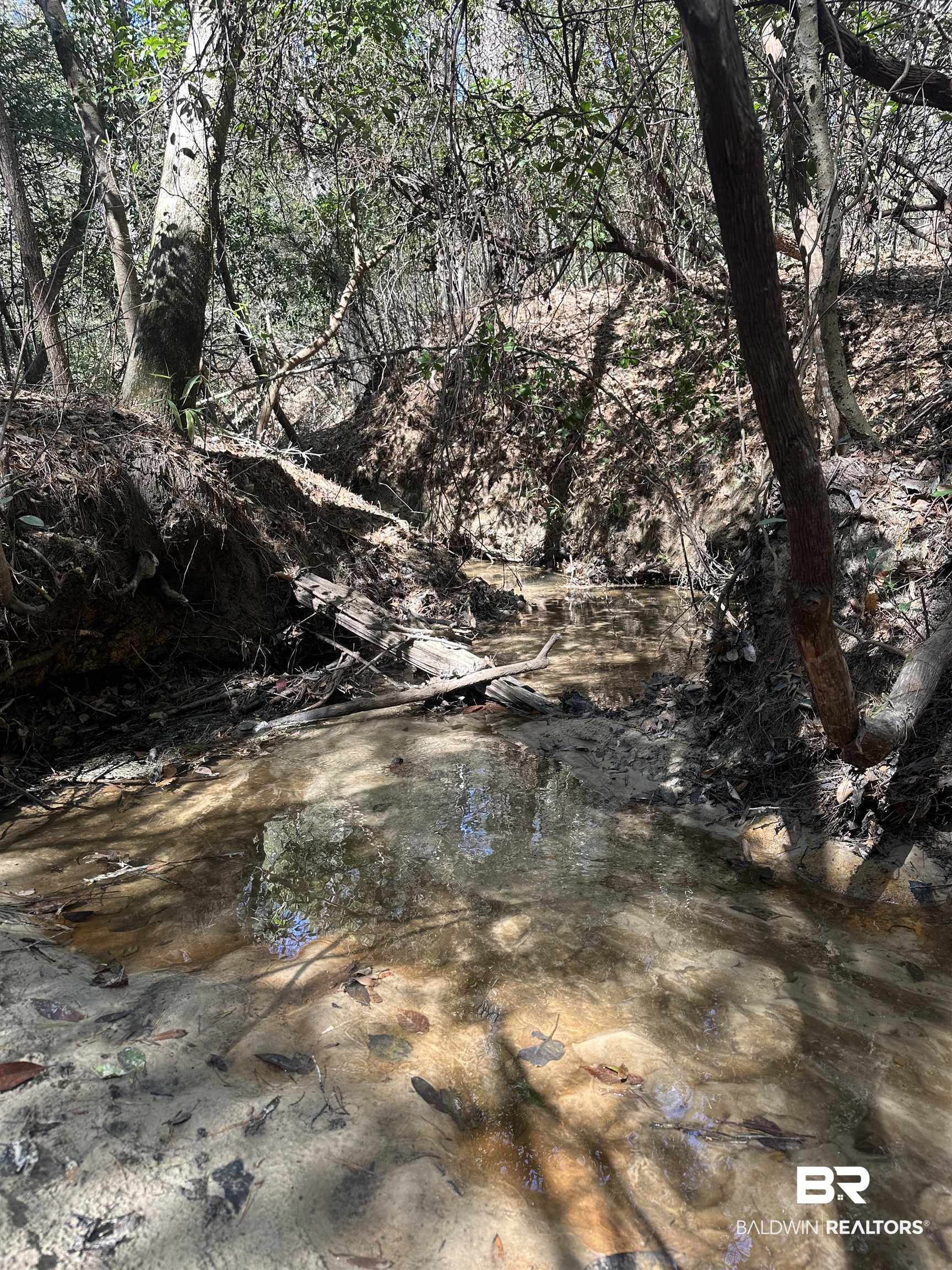 8557 County Road 34 Millry, AL 36558 - Photo 21 of 36 View of nature