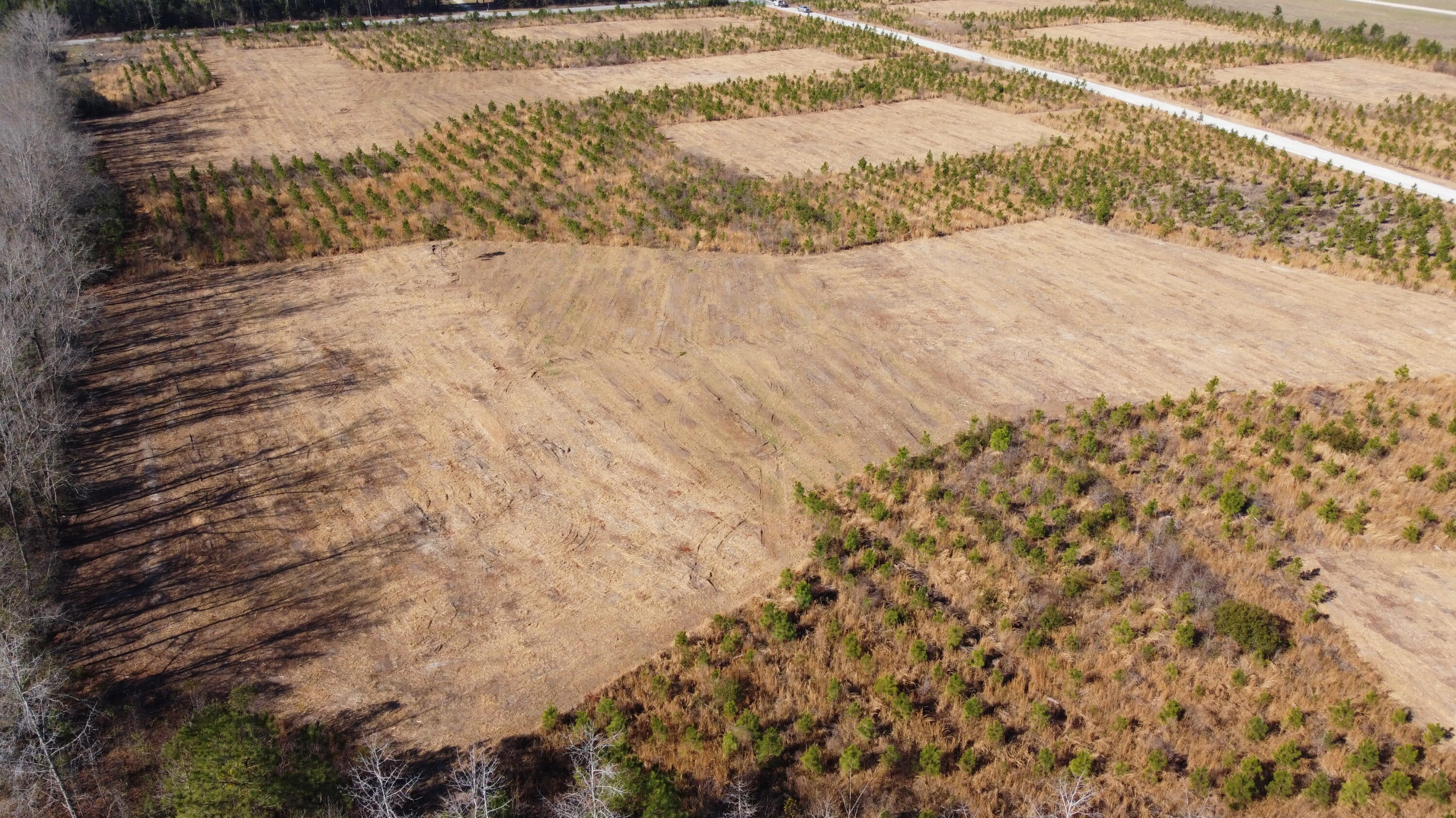 8 Highway 6 Cross, SC 29436 - Photo 9 of 9 DJI_0177