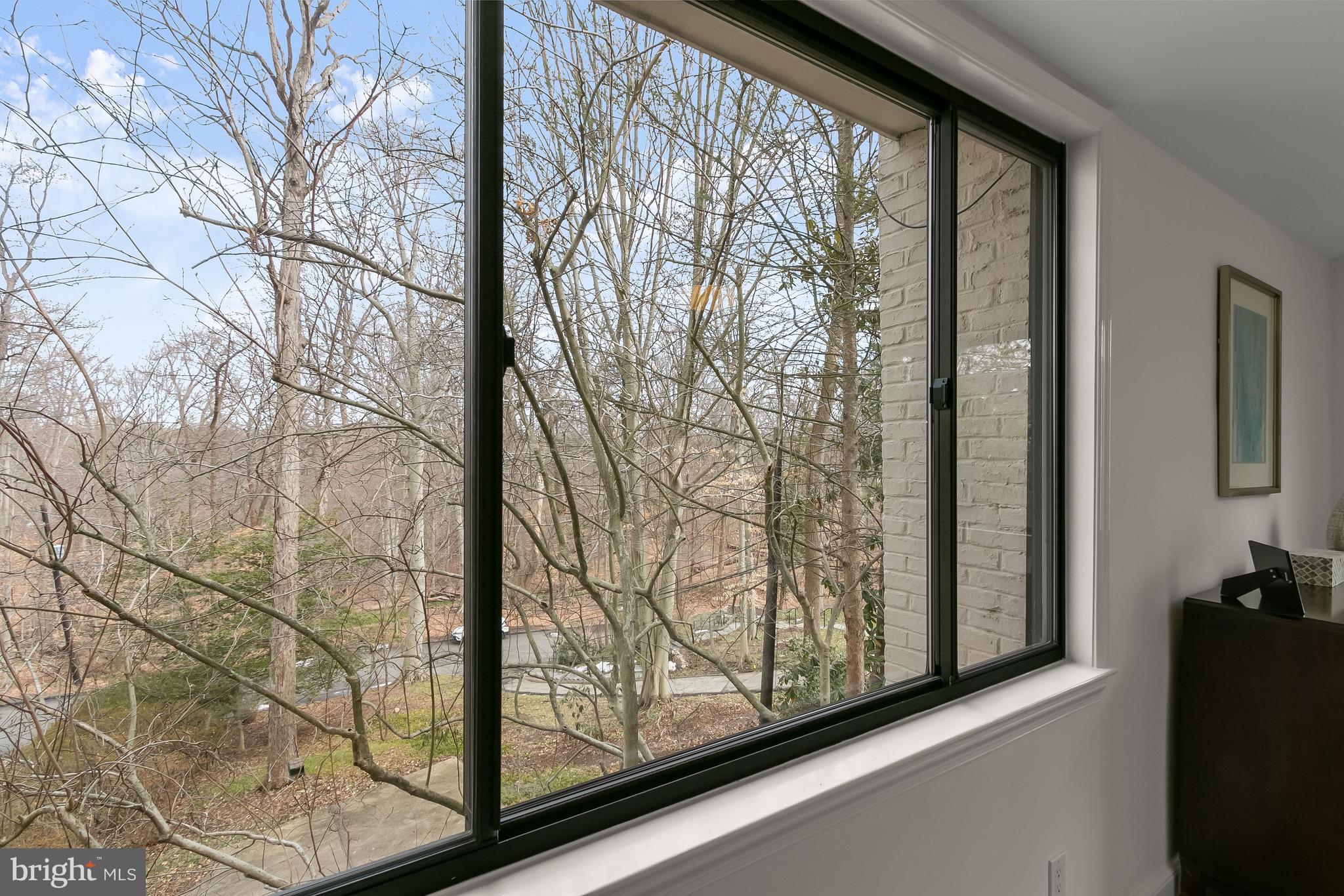 2400 44th Street Northwest Washington, DC 20007 - Photo 39 of 65 Primary Bedroom View Windows