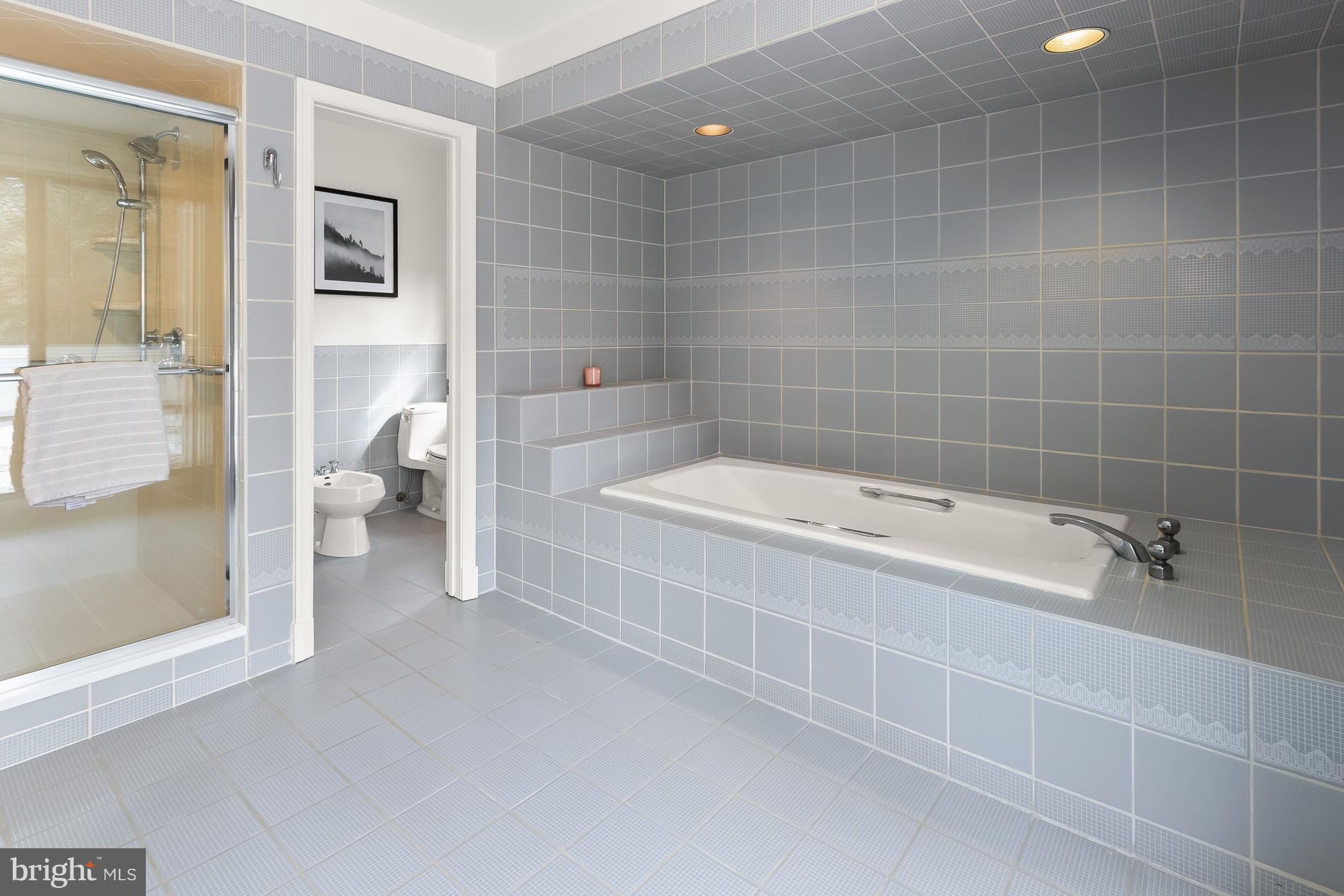 2400 44th Street Northwest Washington, DC 20007 - Photo 44 of 65 Primary Ensuite Bathroom with Soaking Tub