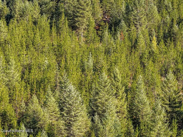 $1,198,000 | 3 North Bonners Ferry, Bonners Ferry, ID 83805
