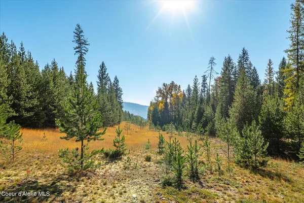 $1,198,000 | 3 North Bonners Ferry, Bonners Ferry, ID 83805