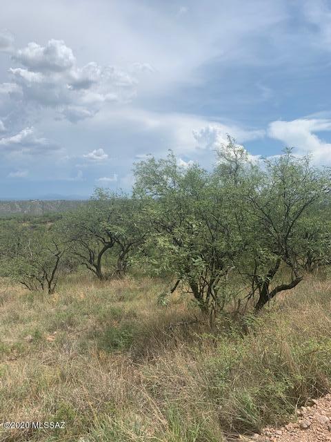 717 Camino Arruza, Unit 44 Rio Rico, AZ 85648 - Photo 14 of 16