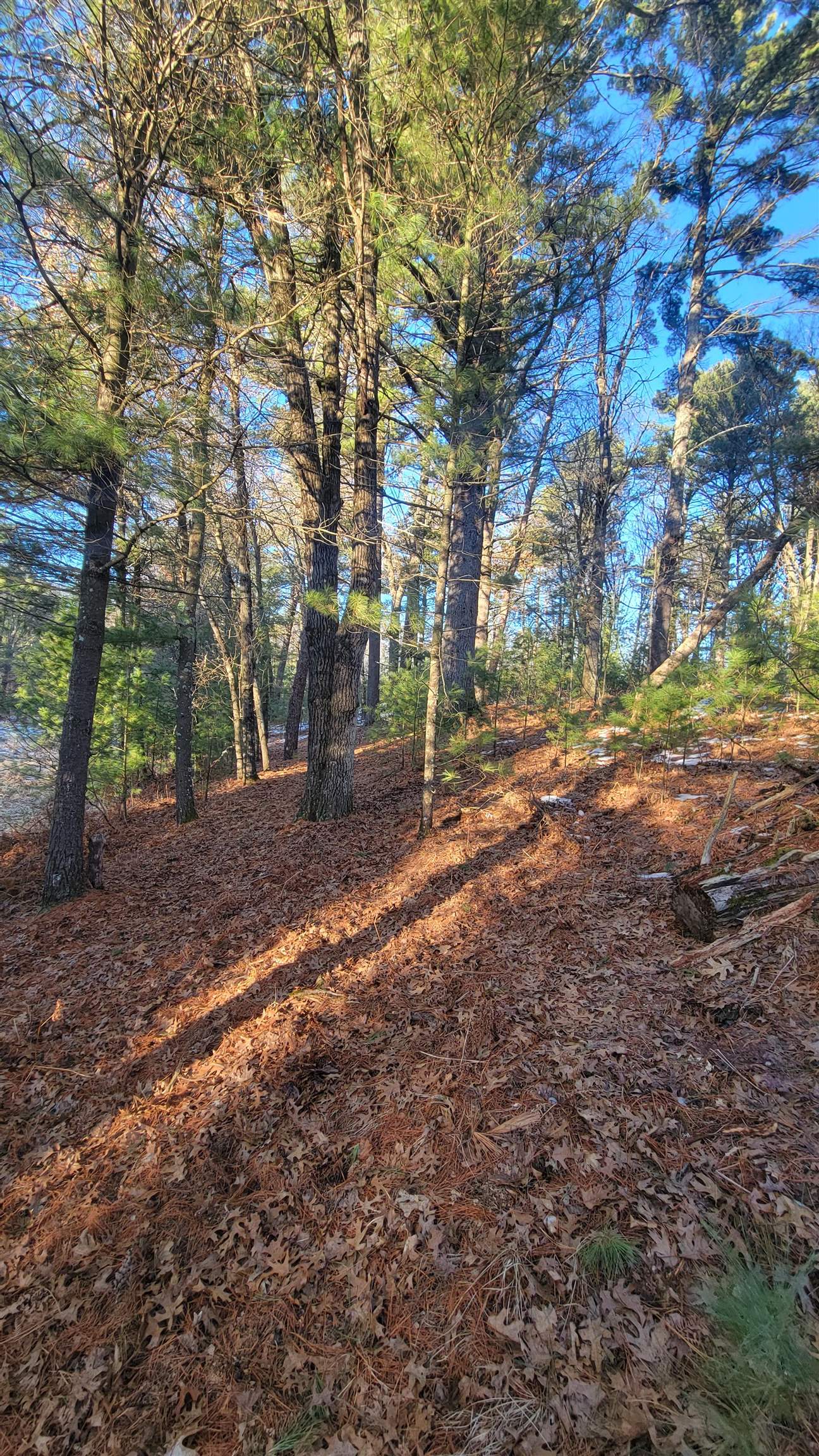 Lot 16 19th Arkdale, WI 54613 - Photo 2 of 9