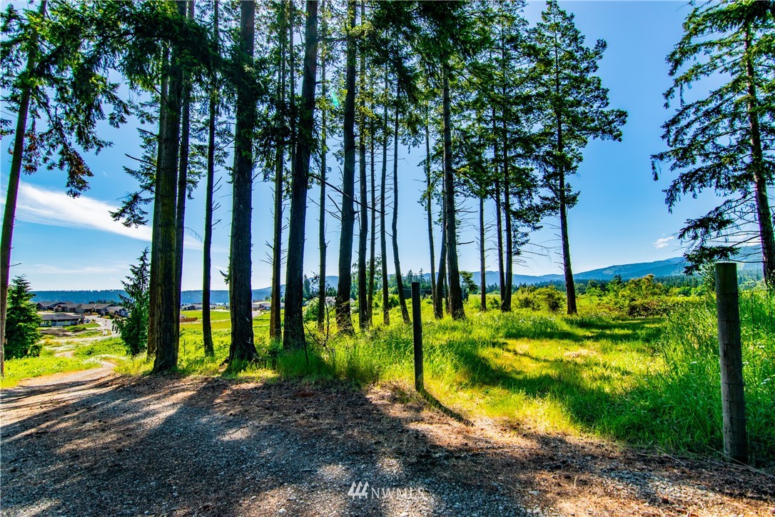 999 Keeler Road Sequim, WA 98382 - Photo 1 of 22 a view of a backyard with plants