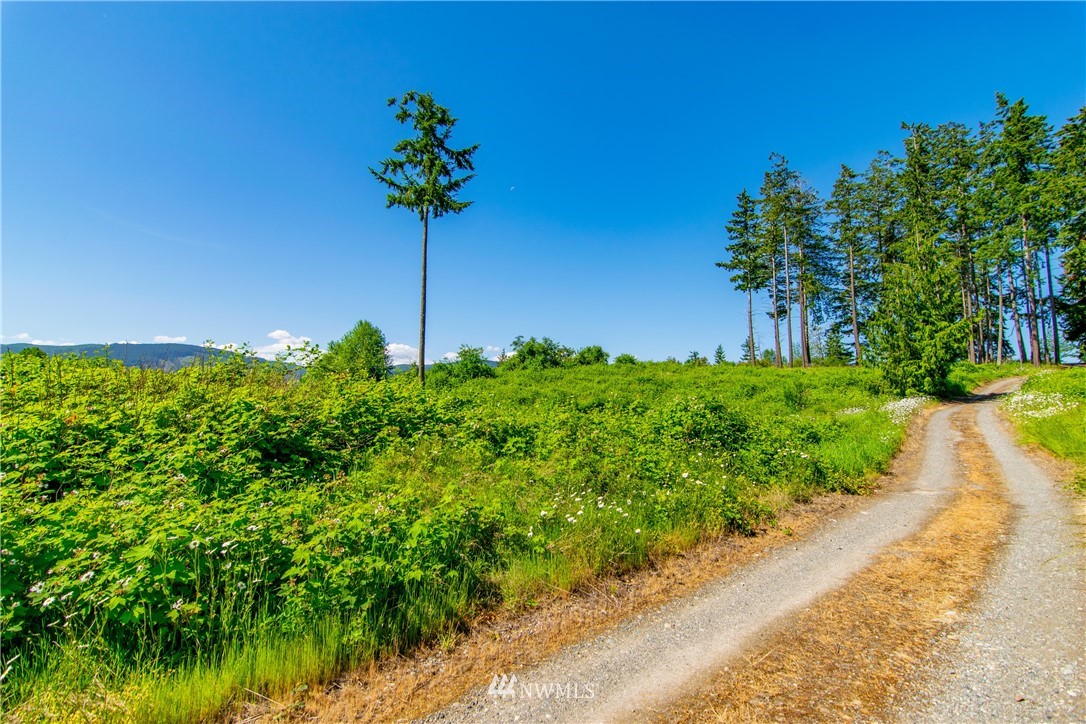 999 Keeler Road Sequim, WA 98382 - Photo 14 of 22