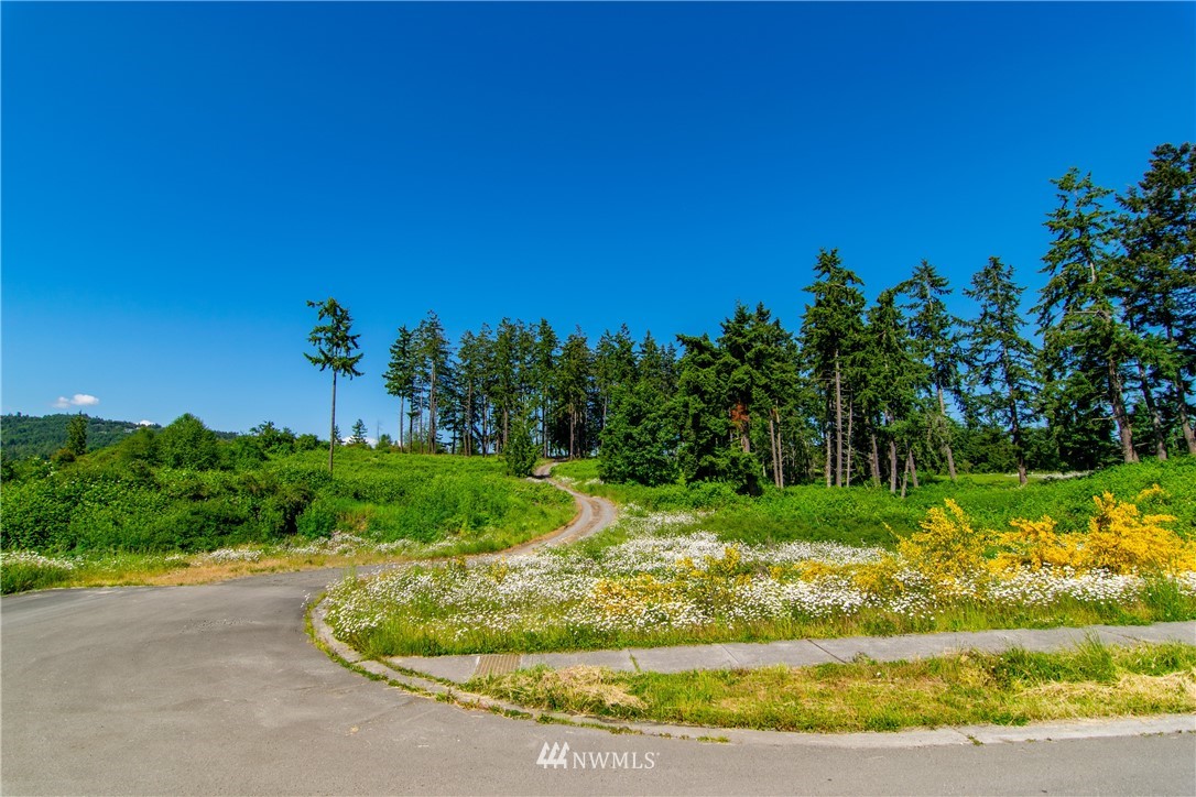 999 Keeler Road Sequim, WA 98382 - Photo 22 of 22 a view of a garden with a tree