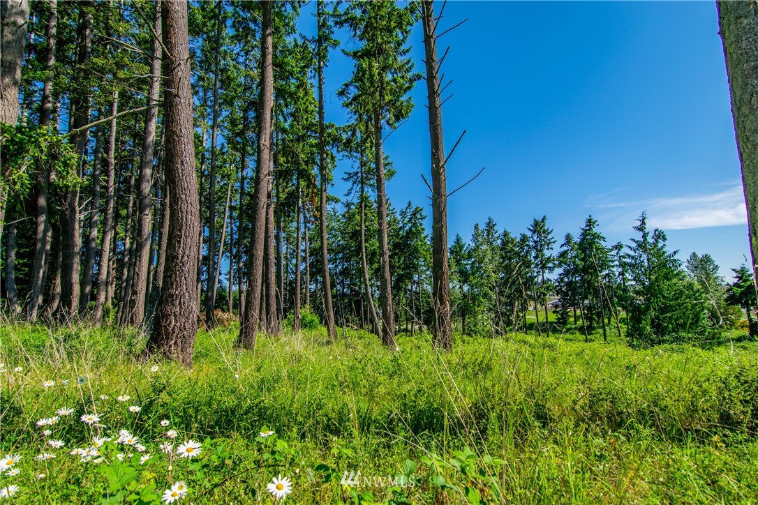 999 Keeler Road Sequim, WA 98382 - Photo 5 of 22 a view of a garden