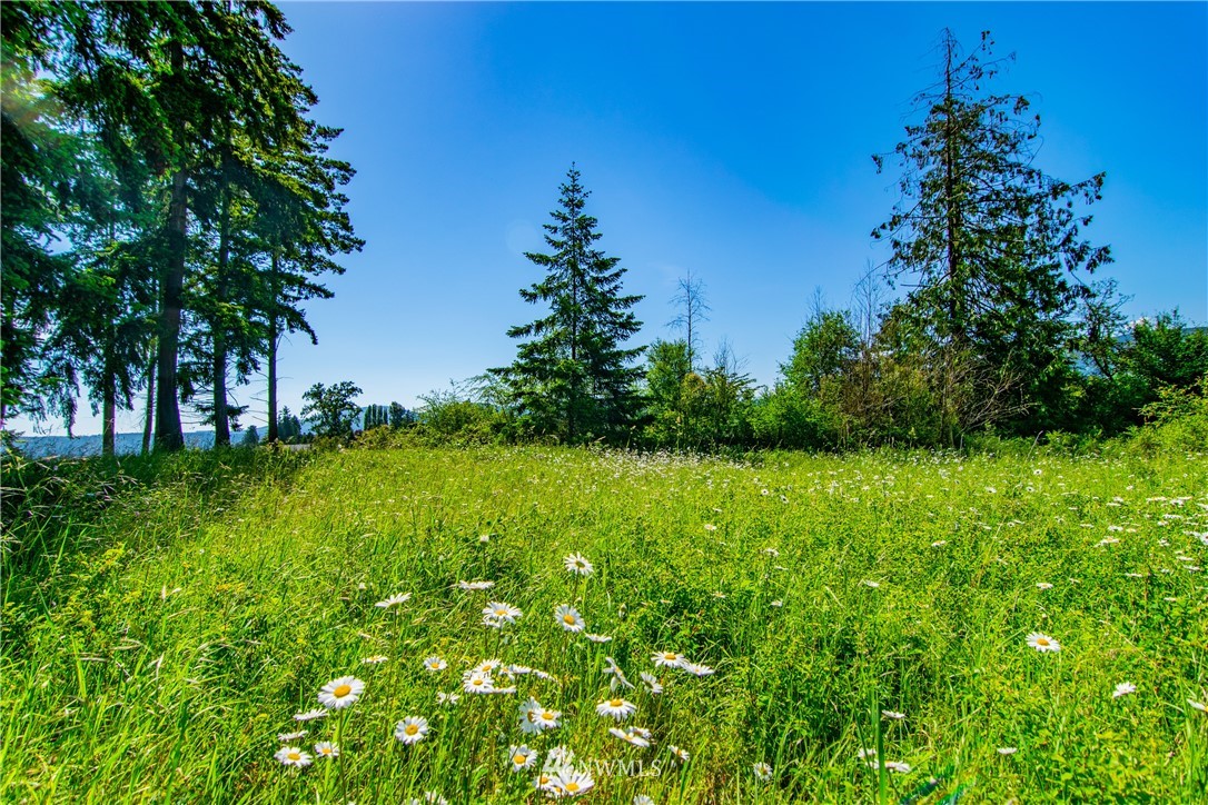 999 Keeler Road Sequim, WA 98382 - Photo 6 of 22 a view of yard with green space