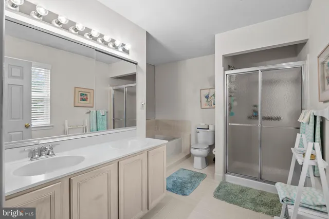 a bathroom with a double vanity sink mirror and toilet