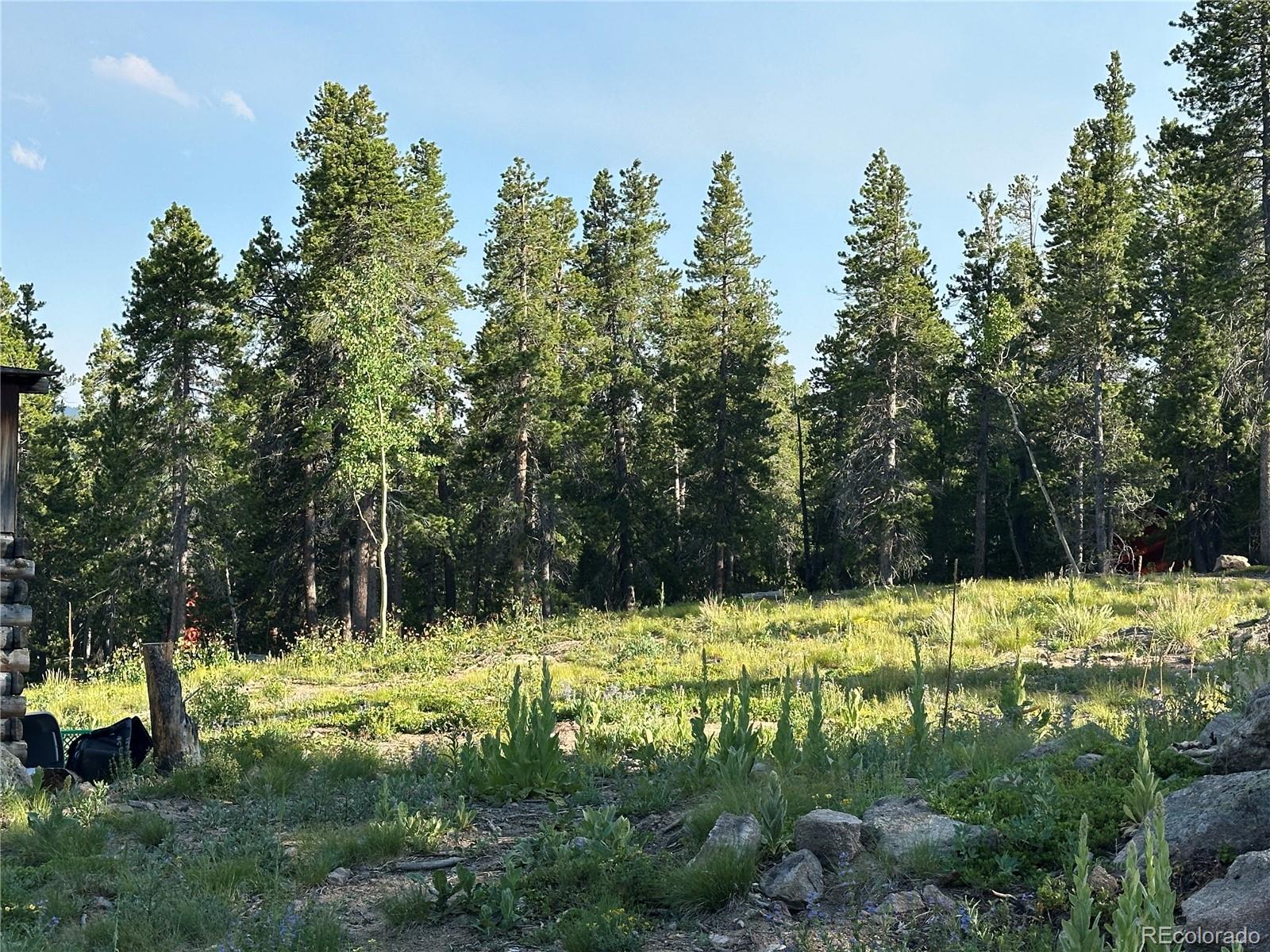 Mountain Meadows Black Hawk, CO 80422 - Photo 25 of 33