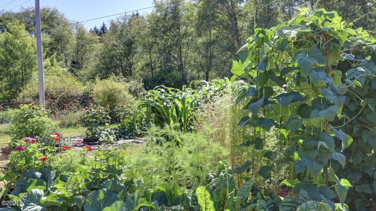 648 Olalla Road Toledo, OR 97391 - Photo 24 of 43 Garden