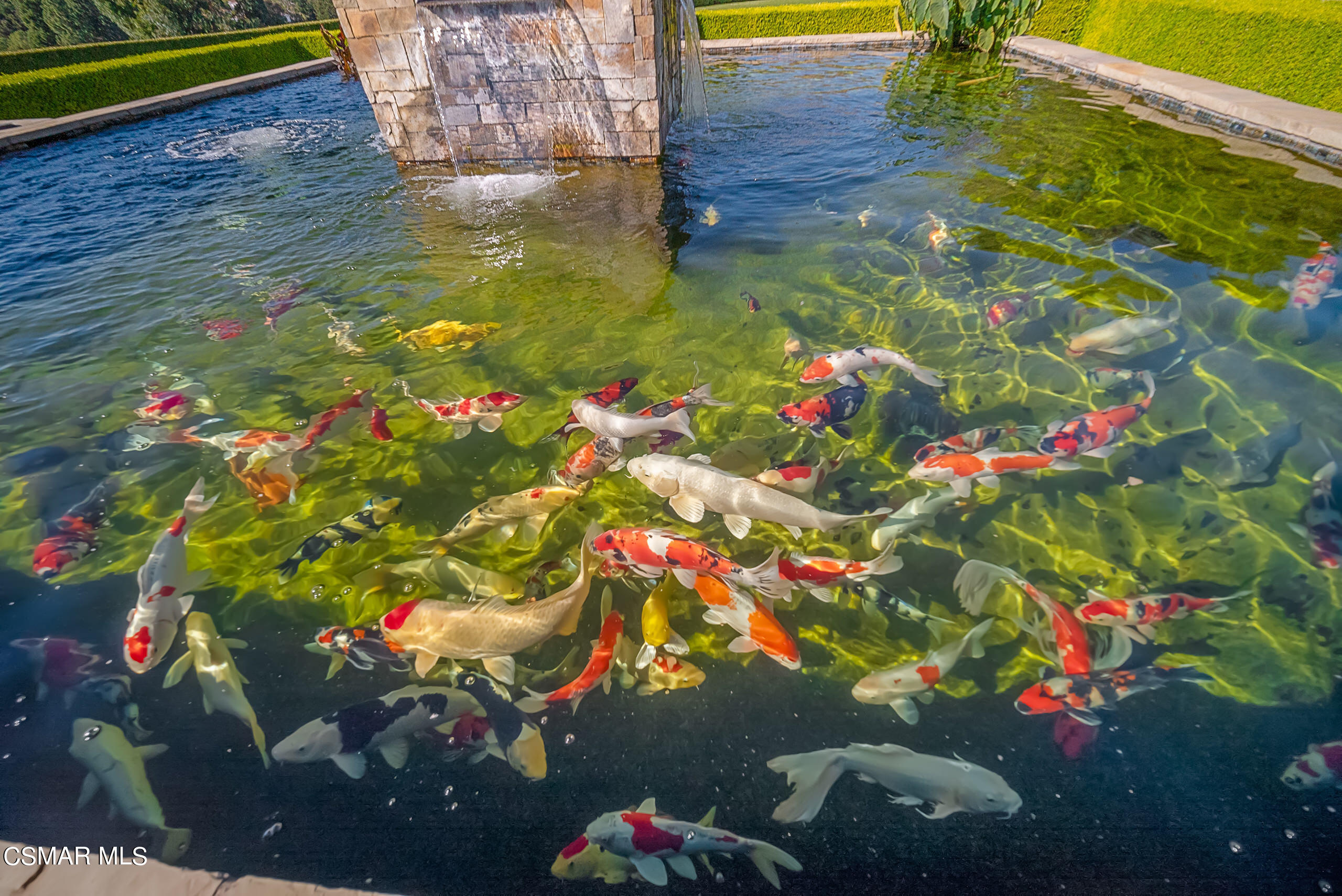 11875 Pradera Road Camarillo, CA 93012 - Photo 31 of 58 a picture of flowers