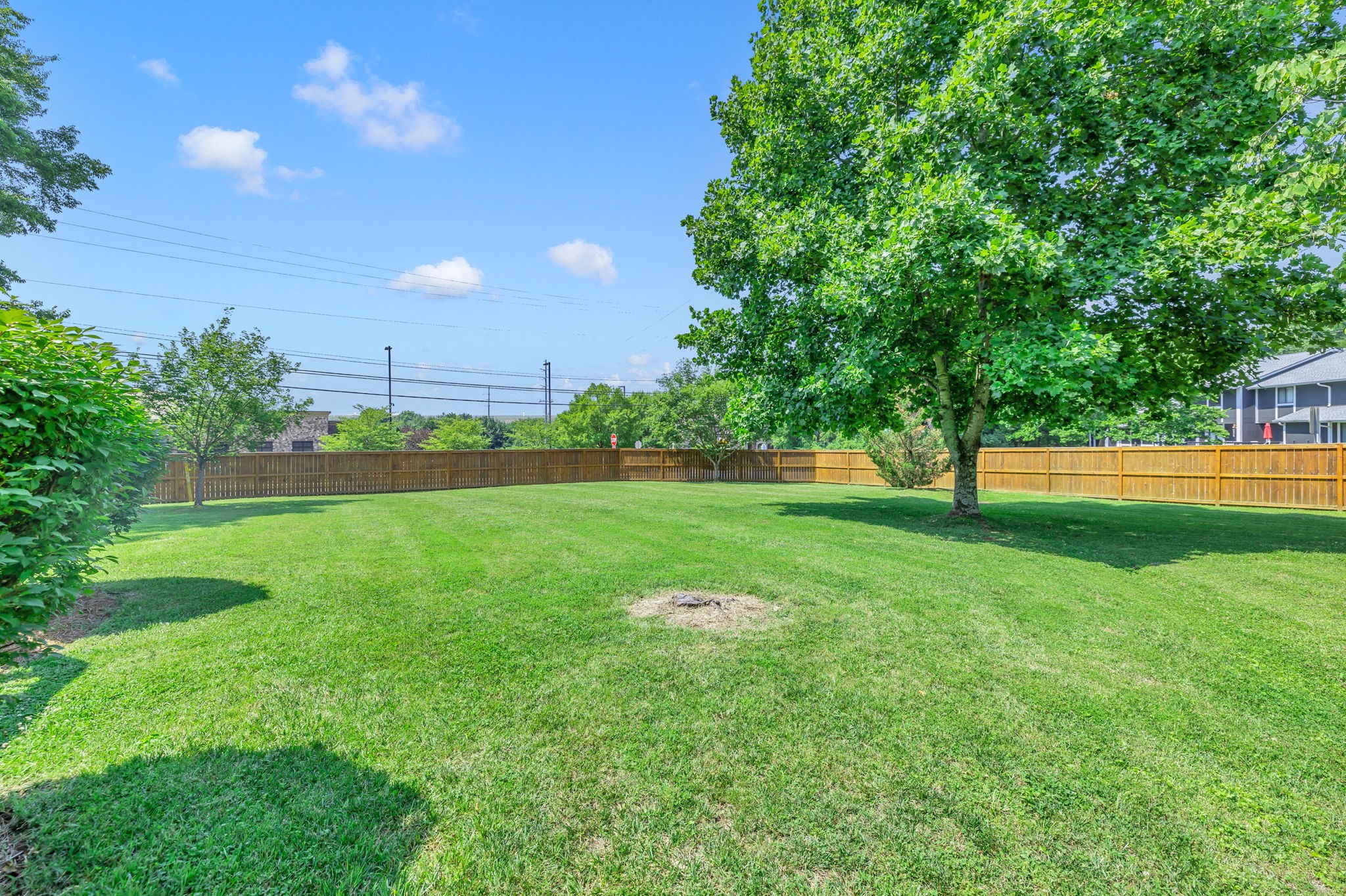 104 Hicks Road Nashville, TN 37221 - Photo 40 of 41 a view of yard with grass and trees