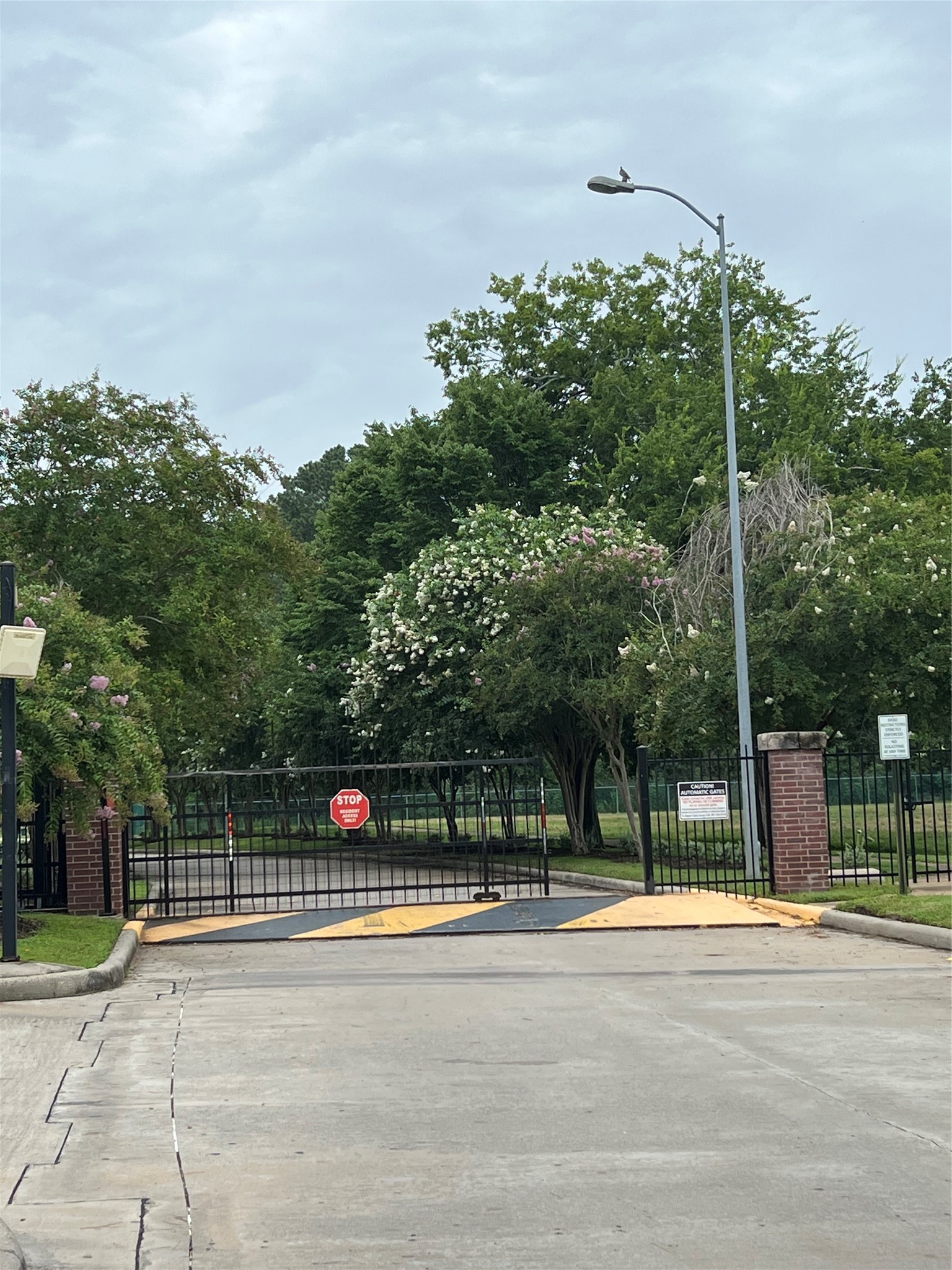 802 Cypresswood Bough Spring, TX 77373 - Photo 6 of 19 a view of street and trees