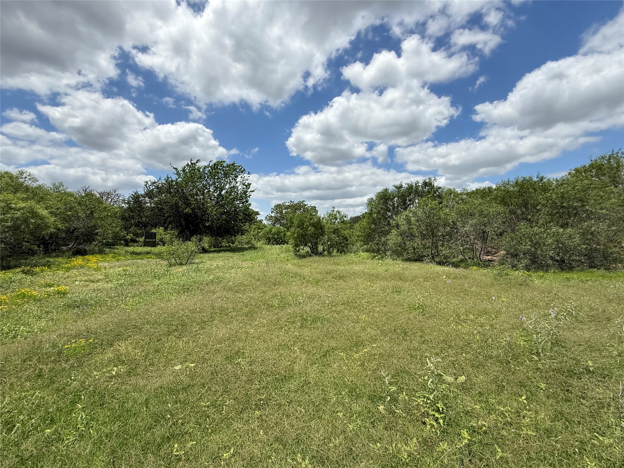 000 Pettytown Road Red Rock, TX 78662 - Photo 1 of 4 Expansive open field featuring natural grasses, scattered wildflowers, and mature trees bordering the perimeter