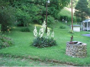 117 Dave Simerly Road Hampton, TN 37658 - Photo 4 of 10 Photo 4