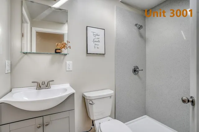 a bathroom with a sink mirror and toilet