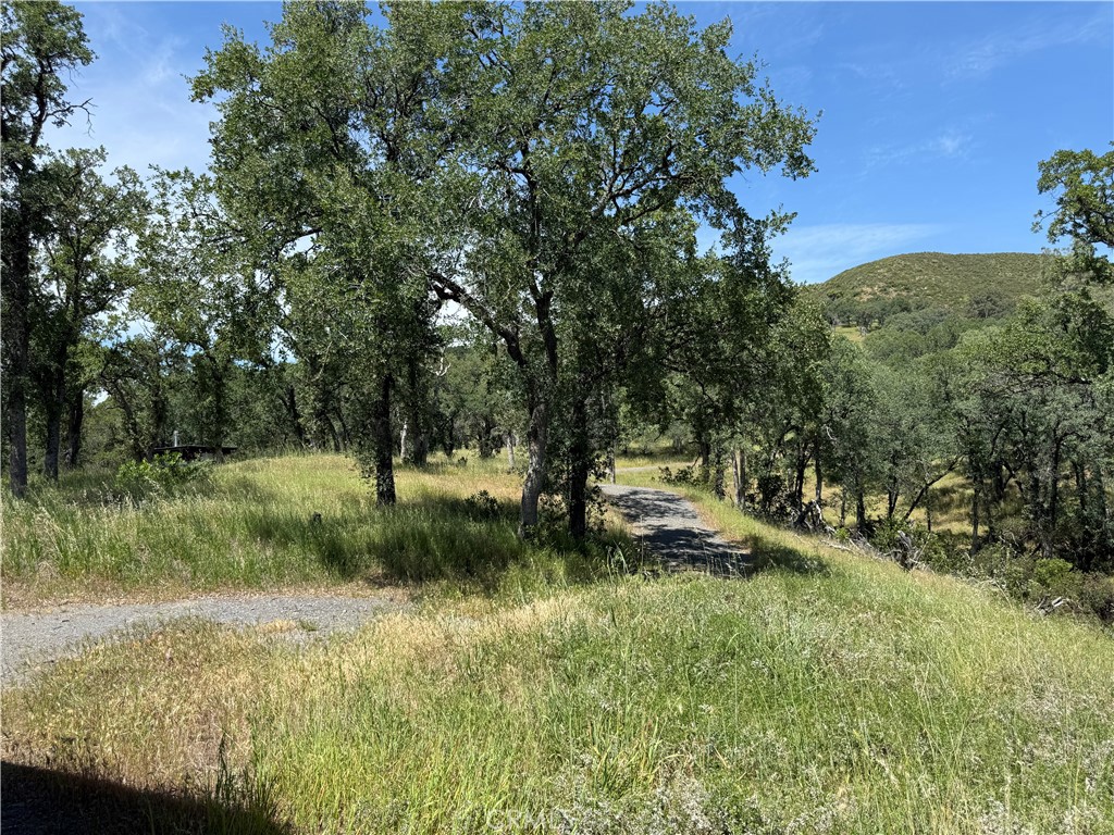 23495 Morgan Valley Road Lower Lake, CA 95457 - Photo 2 of 16