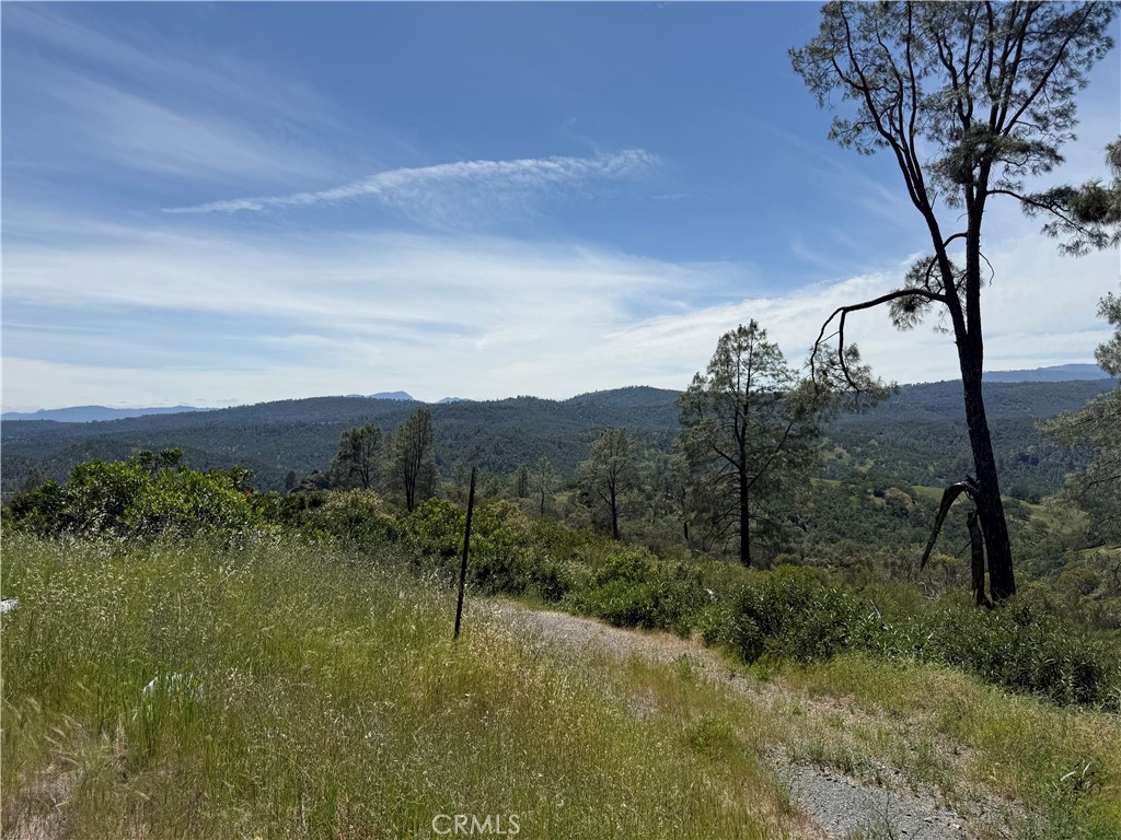 23495 Morgan Valley Road Lower Lake, CA 95457 - Photo 8 of 16