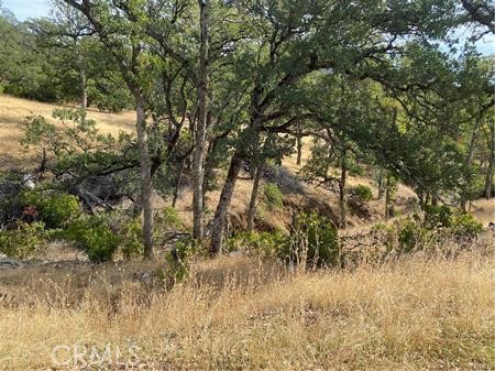 23495 Morgan Valley Road Lower Lake, CA 95457 - Photo 9 of 16