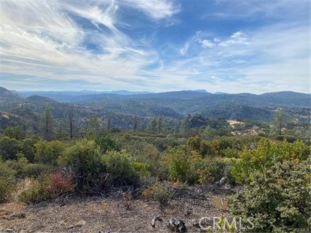 23495 Morgan Valley Road Lower Lake, CA 95457 - Photo 10 of 16