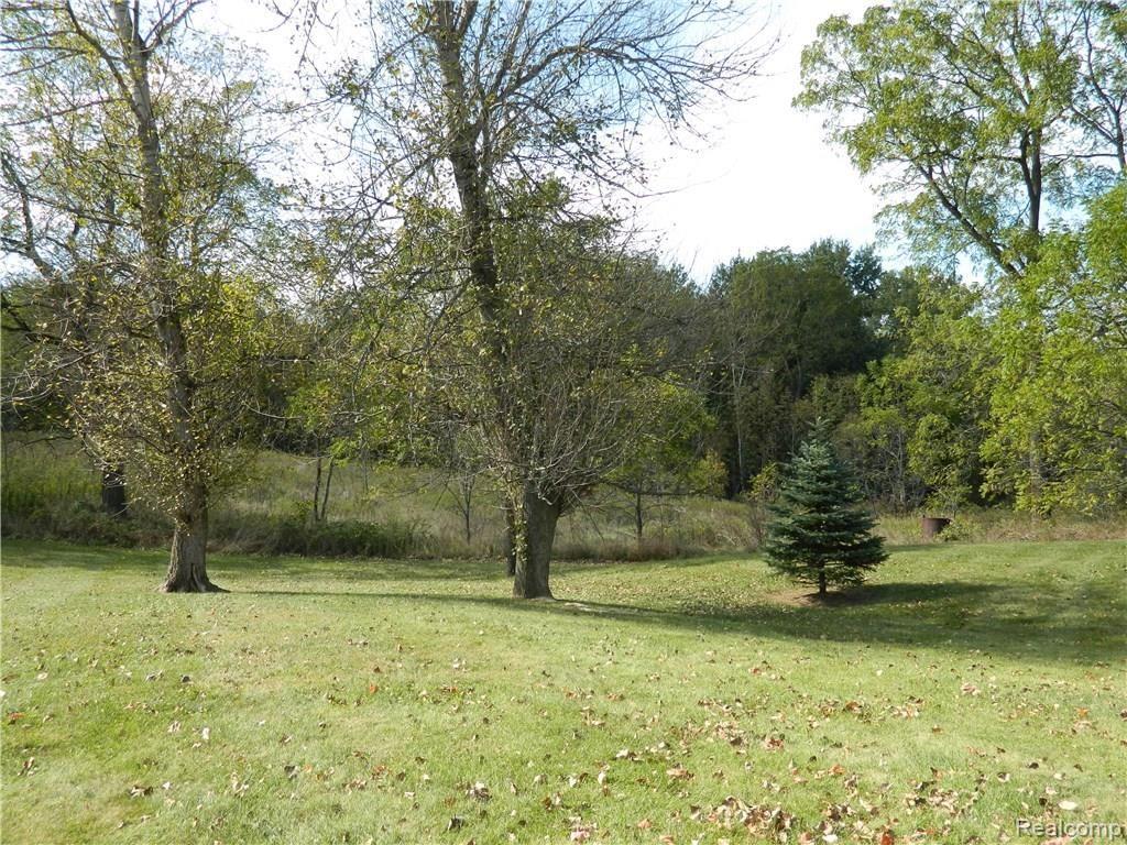 23113 Currie Road South Lyon, MI 48178 - Photo 45 of 49 Back yard