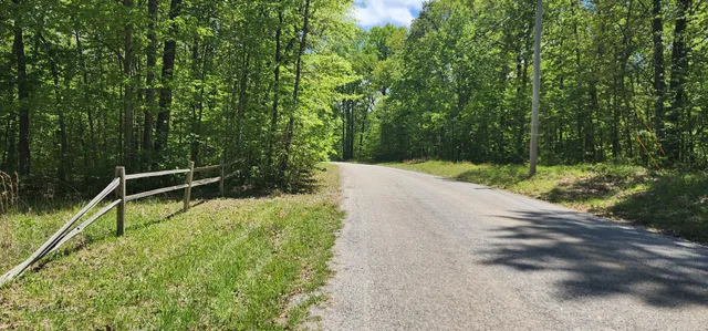 a view of backyard with swimming pool