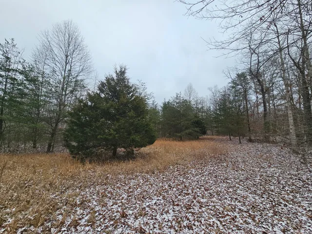 a view of a backyard of the house