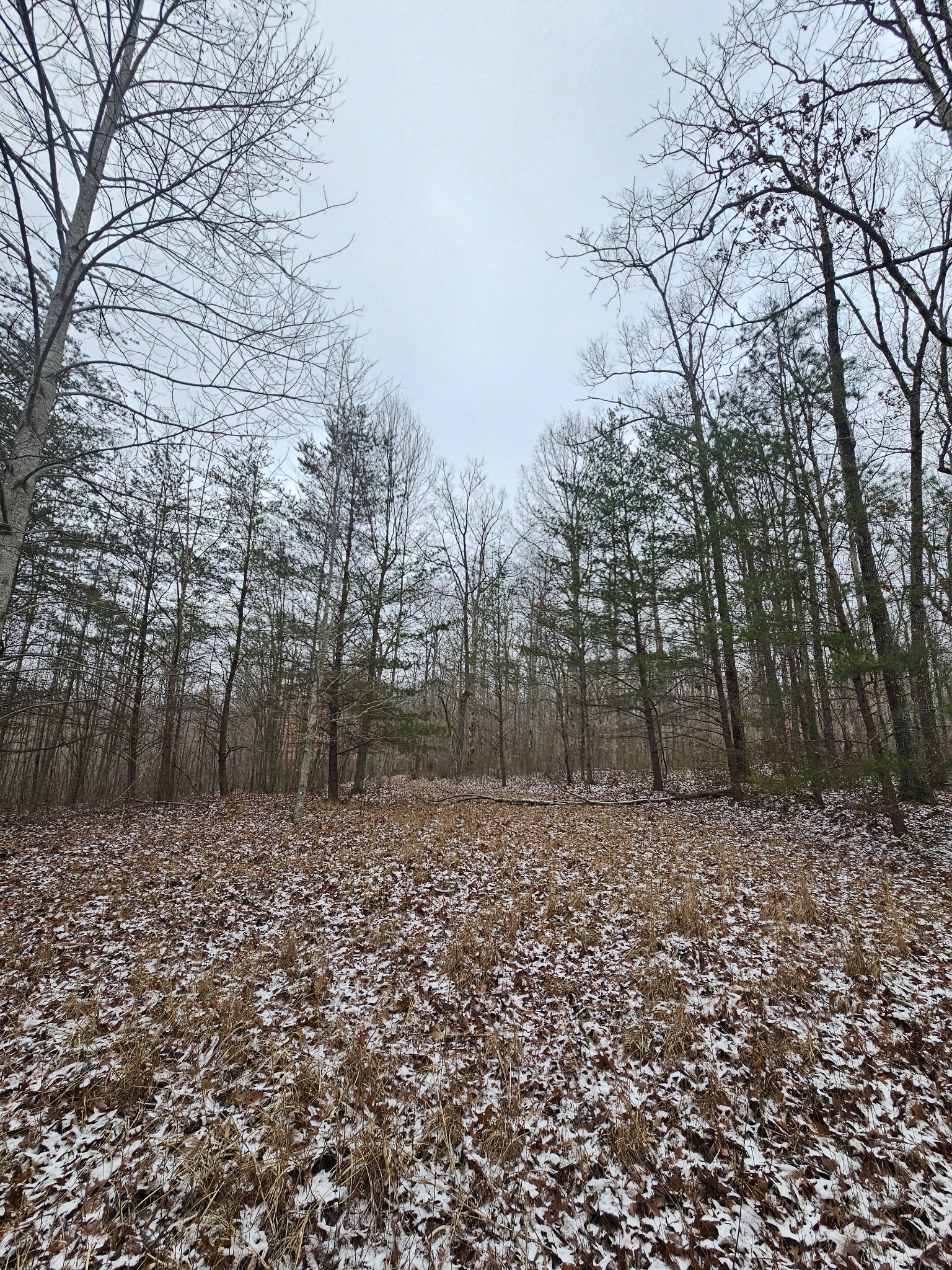 0 Tootley Campbell Road Monteagle, TN 37356 - Photo 16 of 20 a view of a backyard of the house