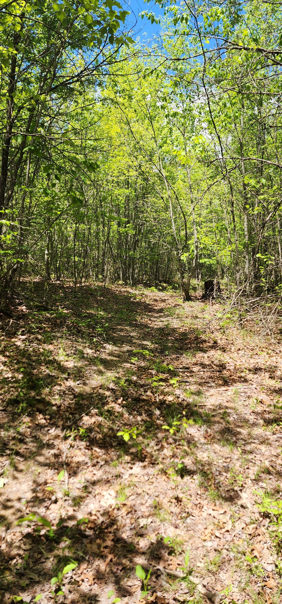 0 Tootley Campbell Road Monteagle, TN 37356 - Photo 18 of 22 a view of a lake view