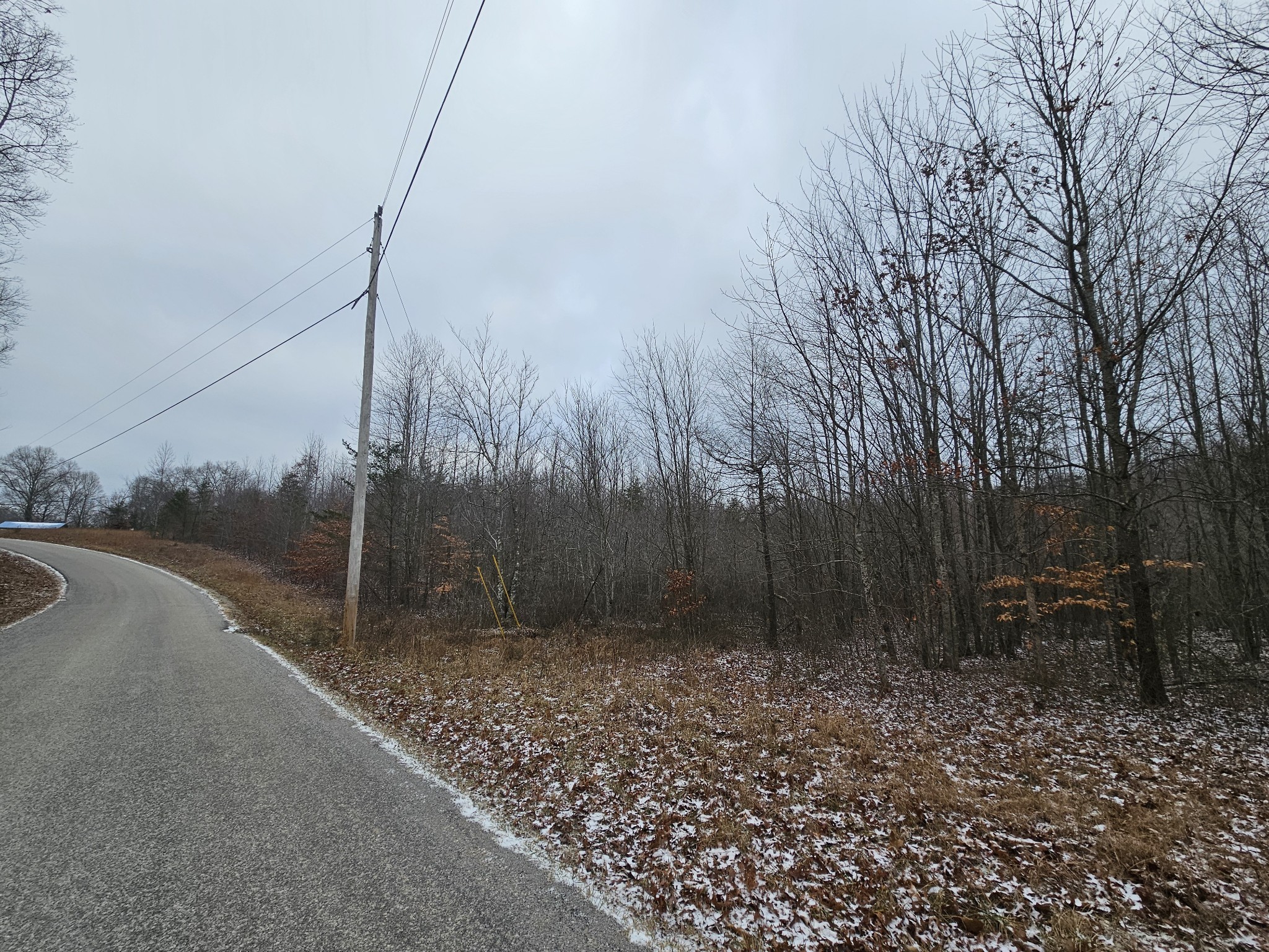 0 Tootley Campbell Road Monteagle, TN 37356 - Photo 2 of 20 a view of a backyard