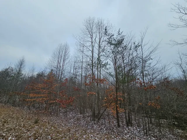 a view of mountain with trees in background