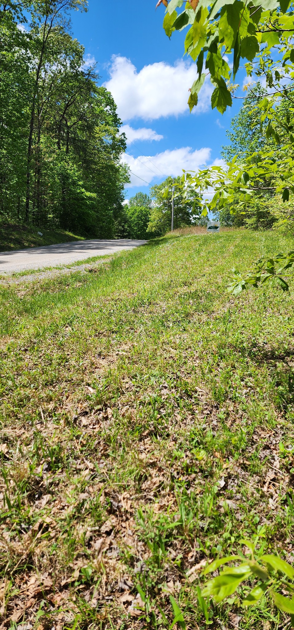 0 Tootley Campbell Road Monteagle, TN 37356 - Photo 6 of 22 a view of a green field with lots of bushes