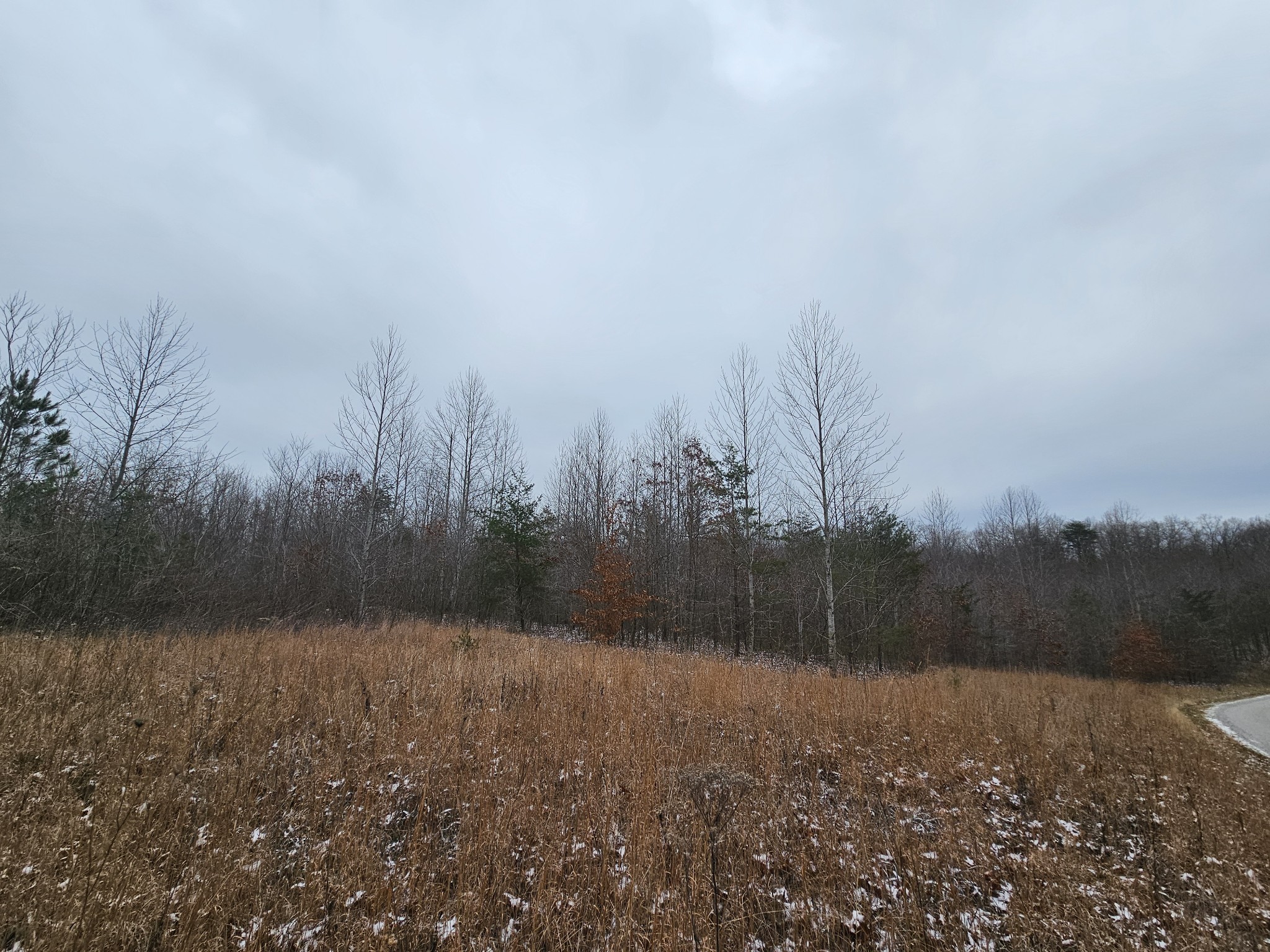 0 Tootley Campbell Road Monteagle, TN 37356 - Photo 7 of 20 a view of a field