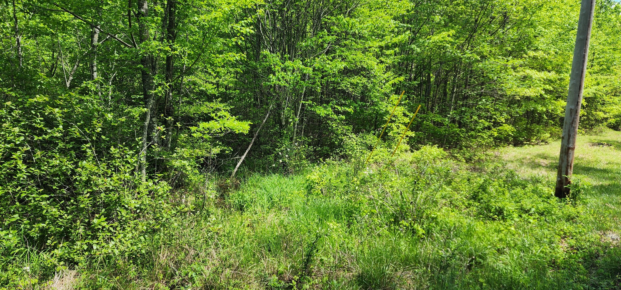 0 Tootley Campbell Road Monteagle, TN 37356 - Photo 9 of 22