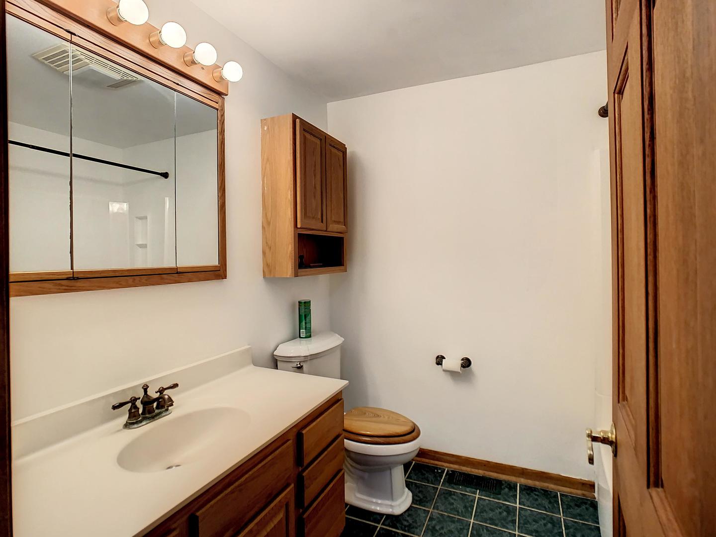4705 Timberlane Road Crystal Lake, IL 60014 - Photo 27 of 29 a bathroom with a sink a toilet and mirror