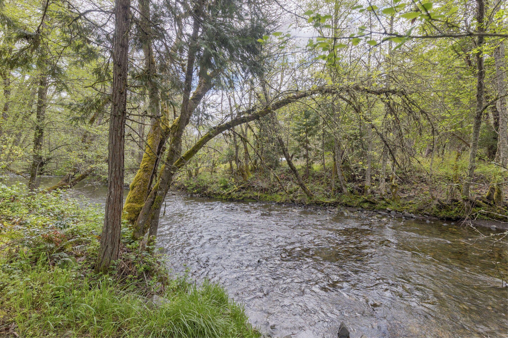 1625 Cedar Flat Road Williams, OR 97544 - Photo 38 of 58 41-web-or-mls-1625-cedar-flat-rd